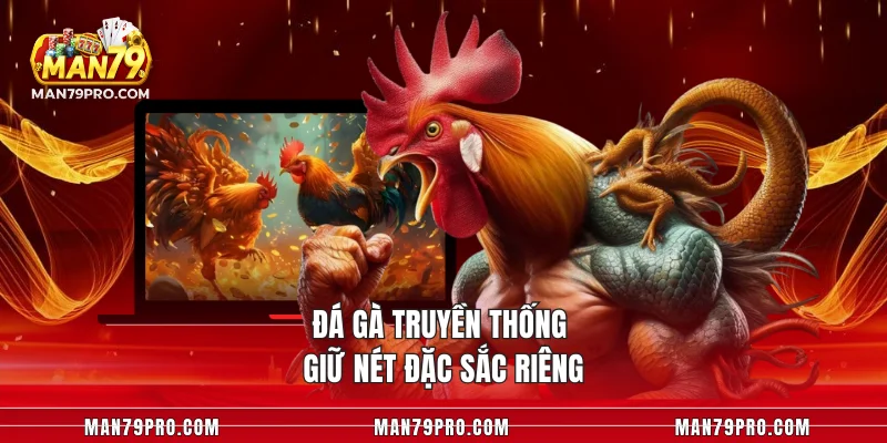 Đá Gà MAN79 – Cuộc Chiến Đỉnh Cao Giữa Những Chiến Kê Đá gà truyền thống giữ nét đặc sắc riêng
